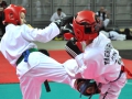 teakwondo-mistrzostwa-xxi-01