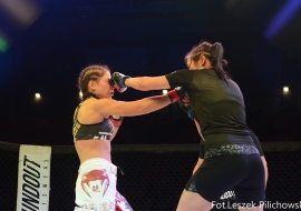 gala-ifn1-mma-02