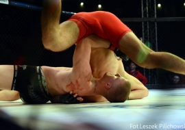 gala-ifn1-mma-16