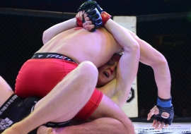 gala-ifn1-mma-18