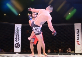 gala-ifn1-mma-26