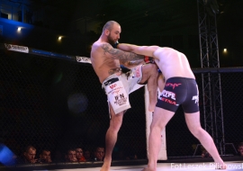 gala-ifn1-mma-33