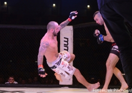 gala-ifn1-mma-34