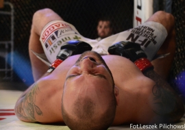 gala-ifn1-mma-36