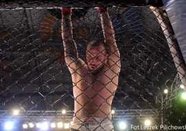 gala-ifn1-mma-38