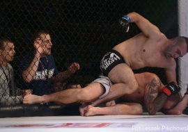 gala-ifn1-mma-40