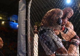 gala-ifn1-mma-41